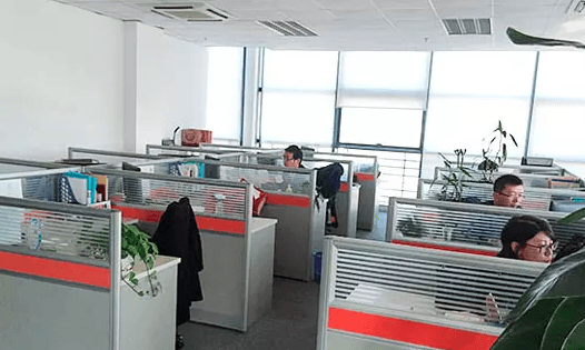 Shanghai Safewing Industrial Co., Ltd.